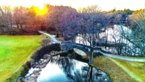Bridge Over Wicked Calm Water