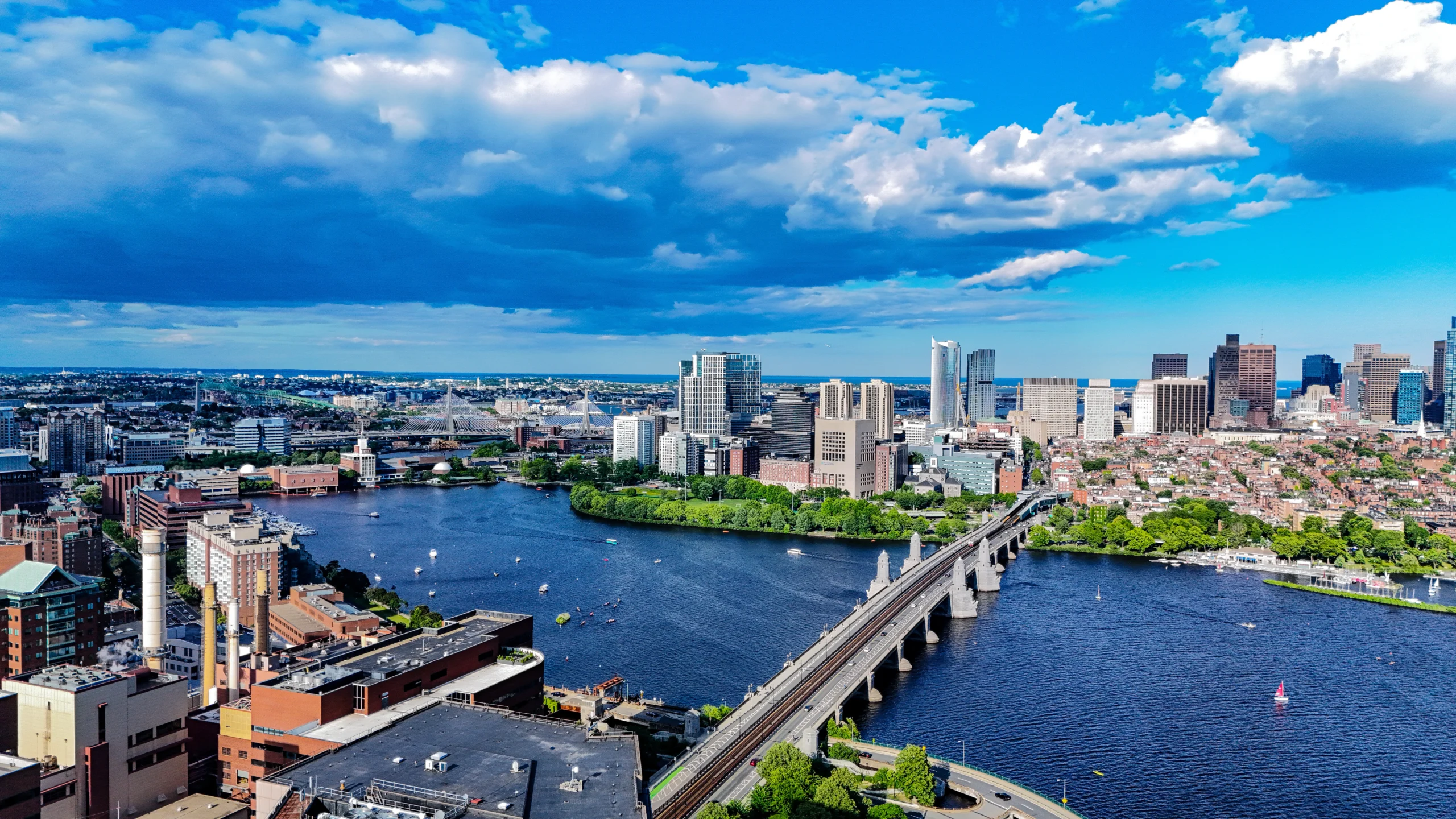 I Can See Ray and Jim From Here